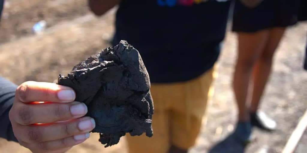 a visitor holding a piece of raw pitch at the la brea pitch lake southern trinidad, the largest natural deposit of asphalt in the world. Known to many as the 8th wonder